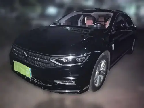 Volkswagen Magotan, 2024