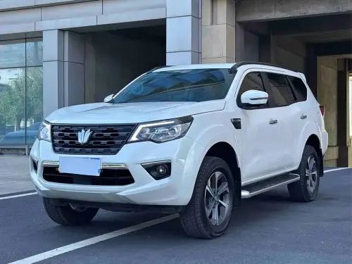 Dongfeng Paladin, 2024