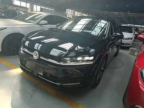 Volkswagen Magotan, 2024