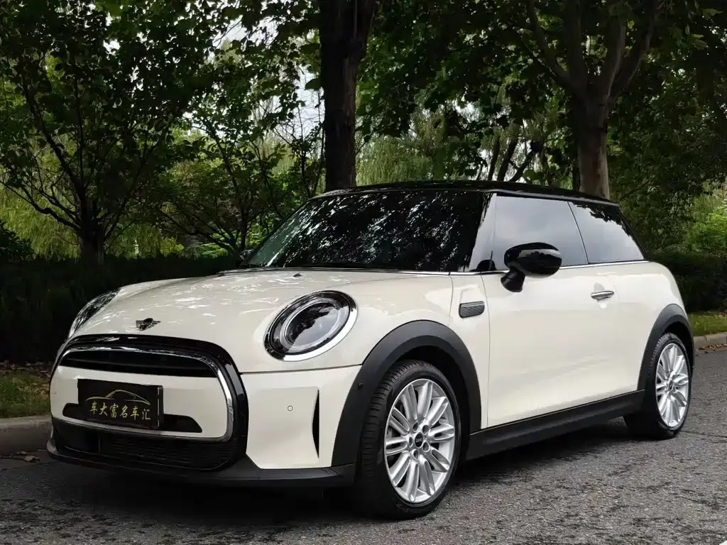Mini MINI, 2022
