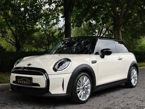 Mini MINI, 2022