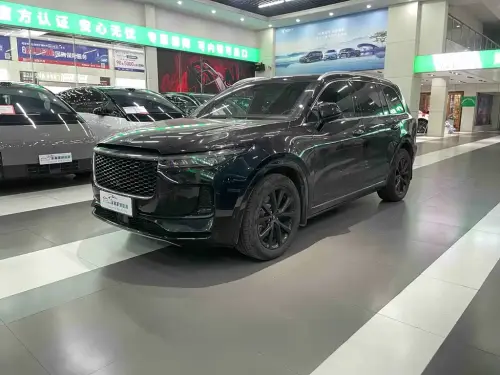 Li Auto ONE, 2021
