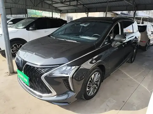 Dongfeng Youth, 2024