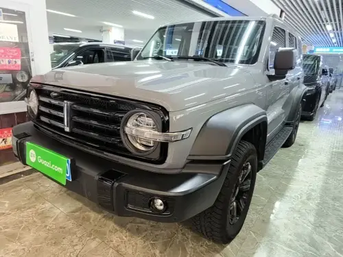 Tank 300, 2021