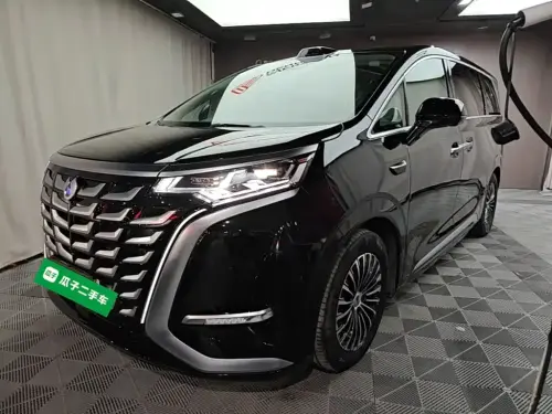 Denza D9, 2025