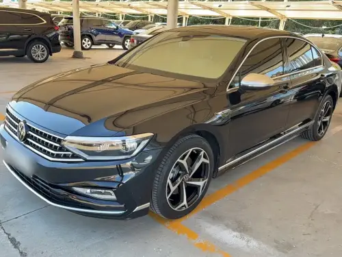 Volkswagen Magotan, 2024