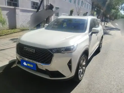 Haval H6, 2020