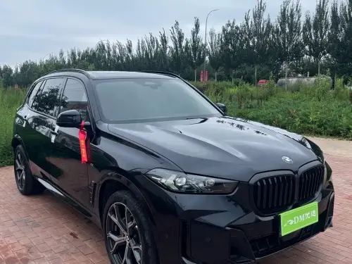 BMW X5, 2025