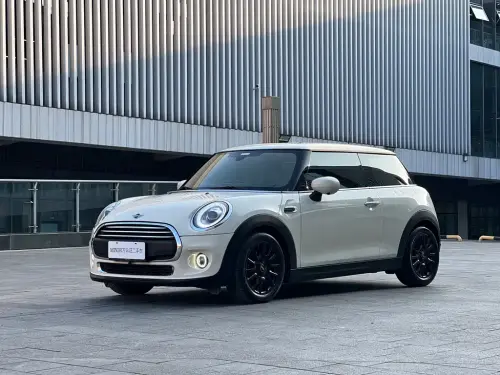 Mini MINI, 2020