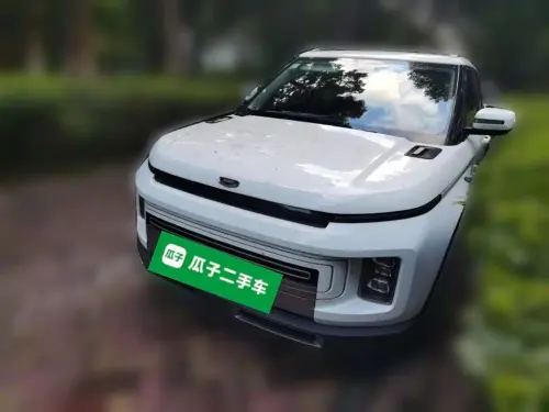 Geely ICON, 2021