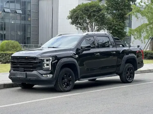 Foton Mars, 2024