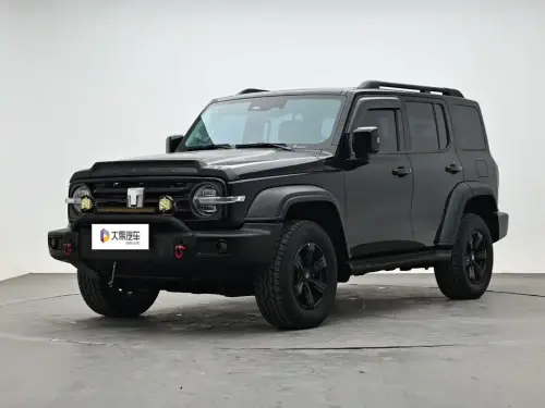 Tank 300, 2021