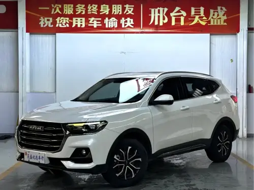 Haval H6, 2022