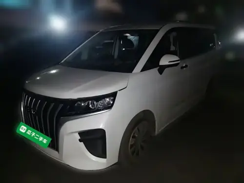BAW Ruisheng Ace M7, 2025