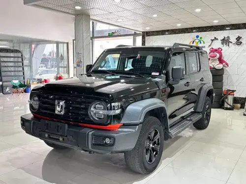 Tank 300, 2021