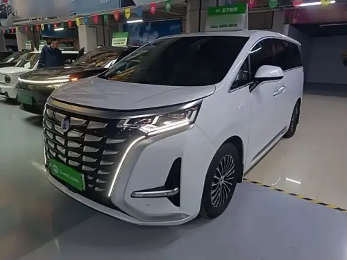 Denza D9, 2024