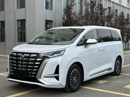 Denza D9, 2024