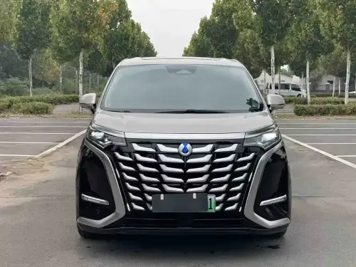 Denza D9, 2024