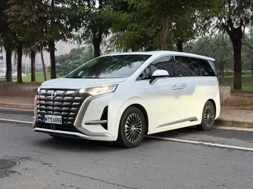 Denza D9, 2024