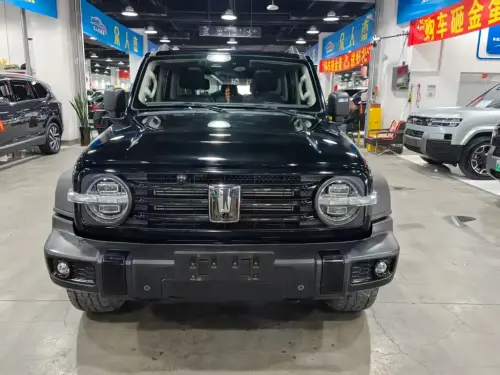 Tank 300, 2021