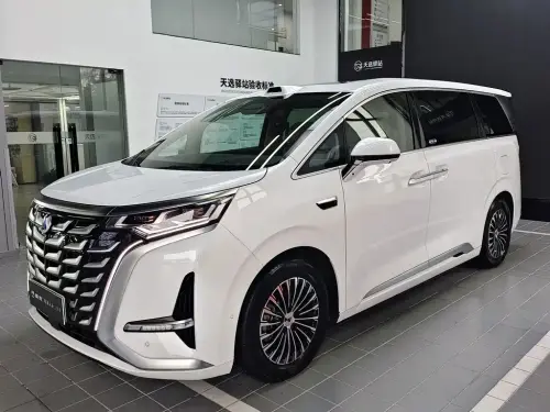 Denza D9, 2025