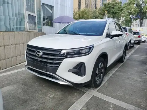 GAC GS4, 2020