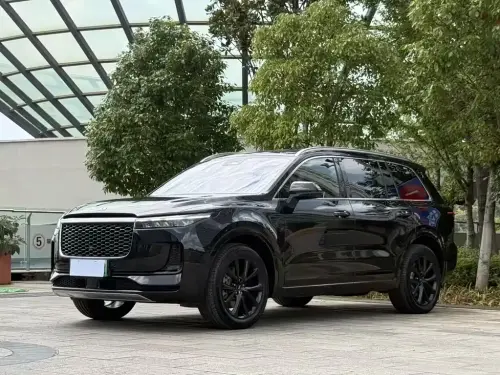 Li Auto ONE, 2021