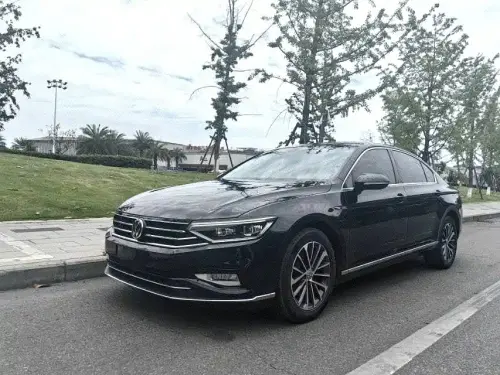 Volkswagen Magotan, 2021