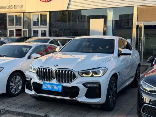 BMW X6, 2020