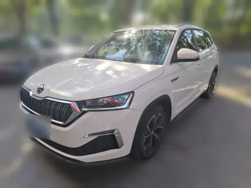 Skoda Kamiq, 2021