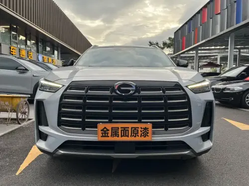 GAC GS4, 2024