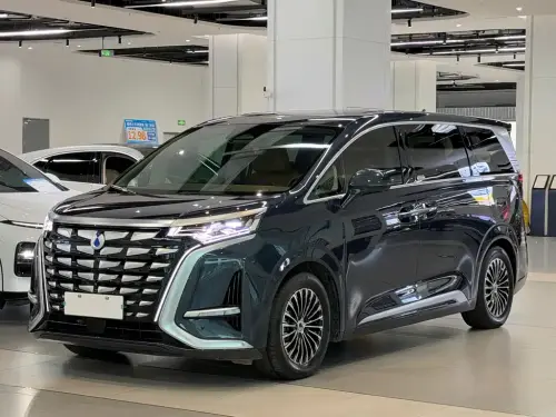 Denza D9, 2023