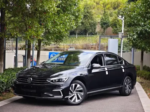 Volkswagen Magotan, 2020