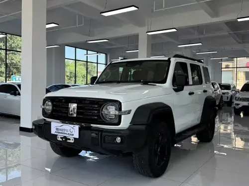 Tank 300, 2021