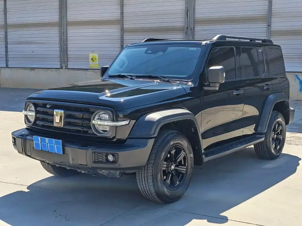 Tank 坦克300, 2024