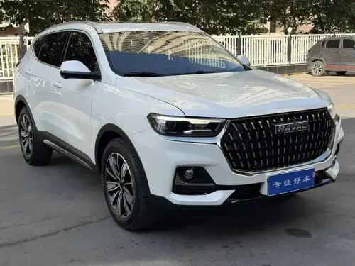 Haval H6, 2024