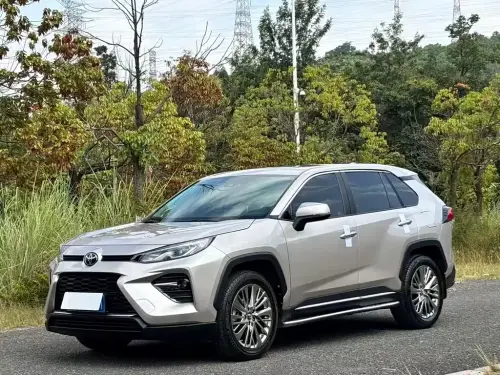 Toyota Wildlander, 2020