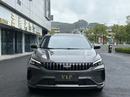 Geely Binrui, 2024