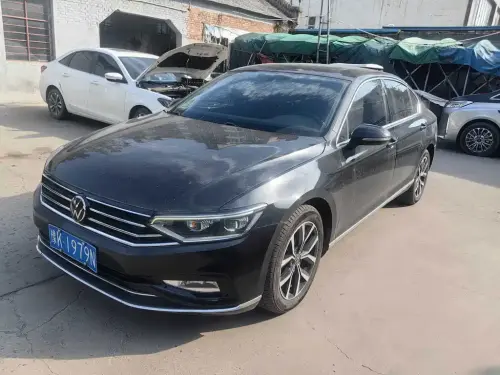 Volkswagen Magotan, 2021
