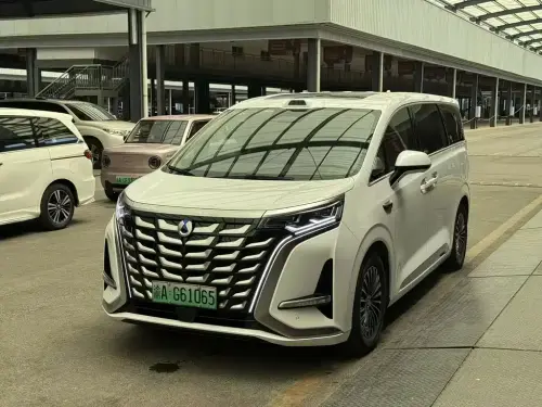 Denza D9, 2025
