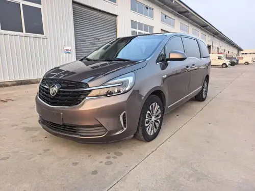 Buick GL8, 2020