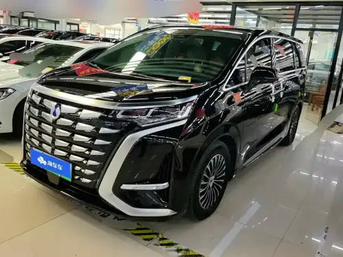 Denza D9, 2025