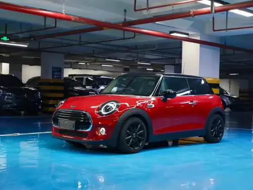 Mini MINI, 2020