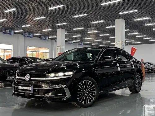 Volkswagen Magotan, 2024