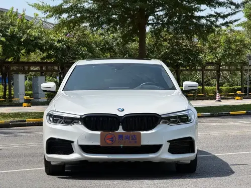 BMW 5-Series, 2020