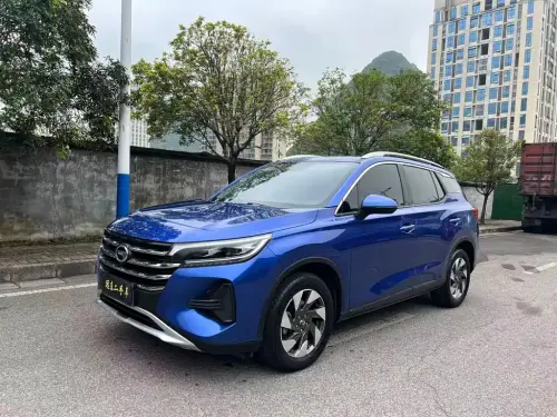 GAC GS4, 2020