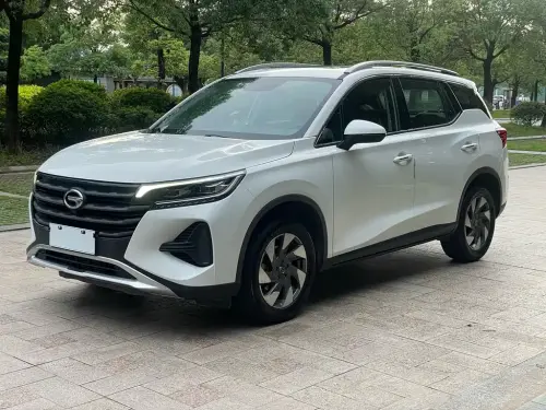 GAC GS4, 2020