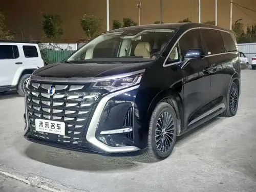 Denza D9, 2024