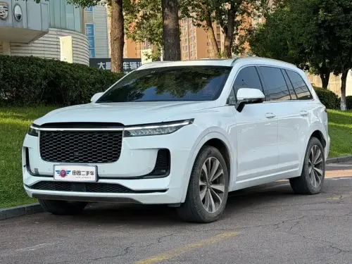 Li Auto ONE, 2021
