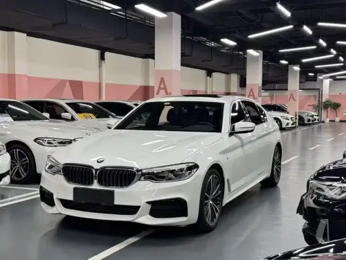 BMW 5-Series, 2020